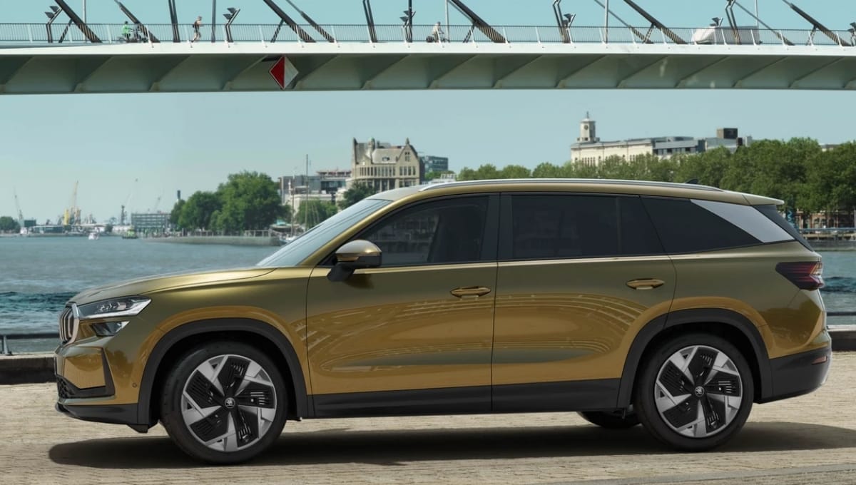 Kodiaq Lounge